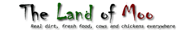 The Land of Moo - Real dirt, fresh food, cows and chickens everywhere