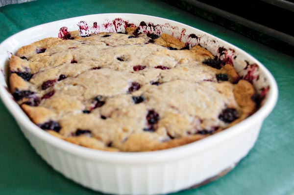 Blackberry Cobbler Time | The Land of Moo